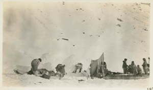 Image of Our Camp at Front of Cape Alexander Glacier